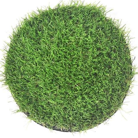 fricons turf|P.Tech Leisure Eco Grass .